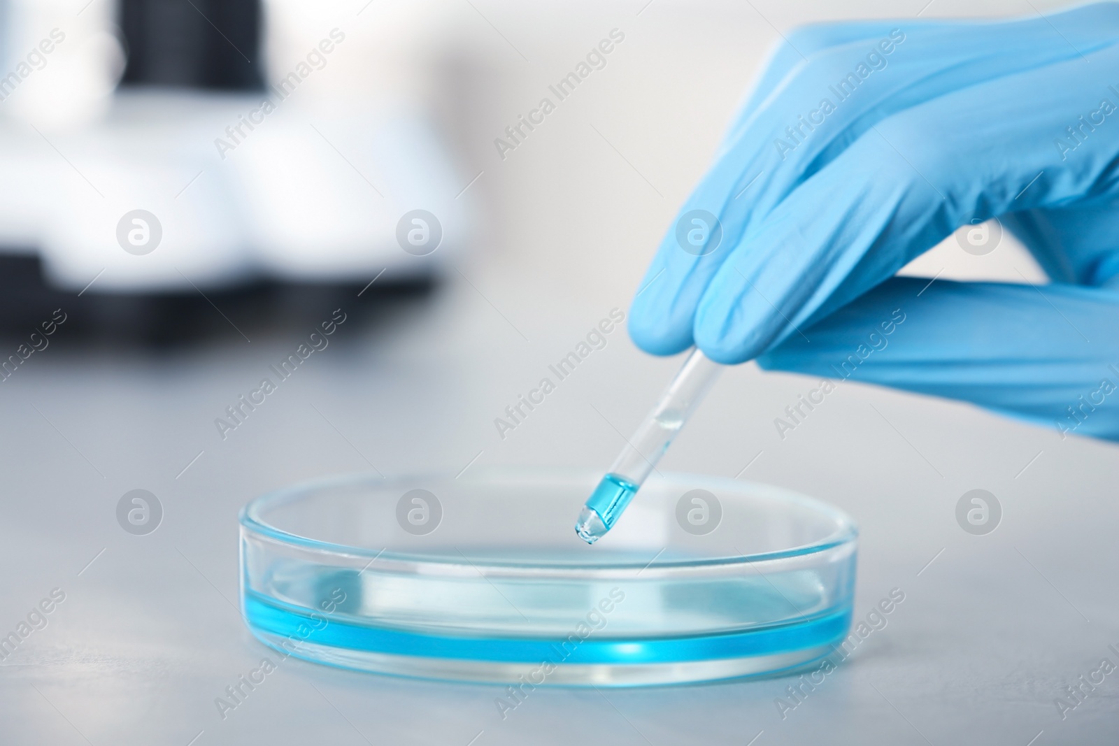 Photo of Analyst dripping reagent into petri dish with sample at laboratory. Chemical analysis