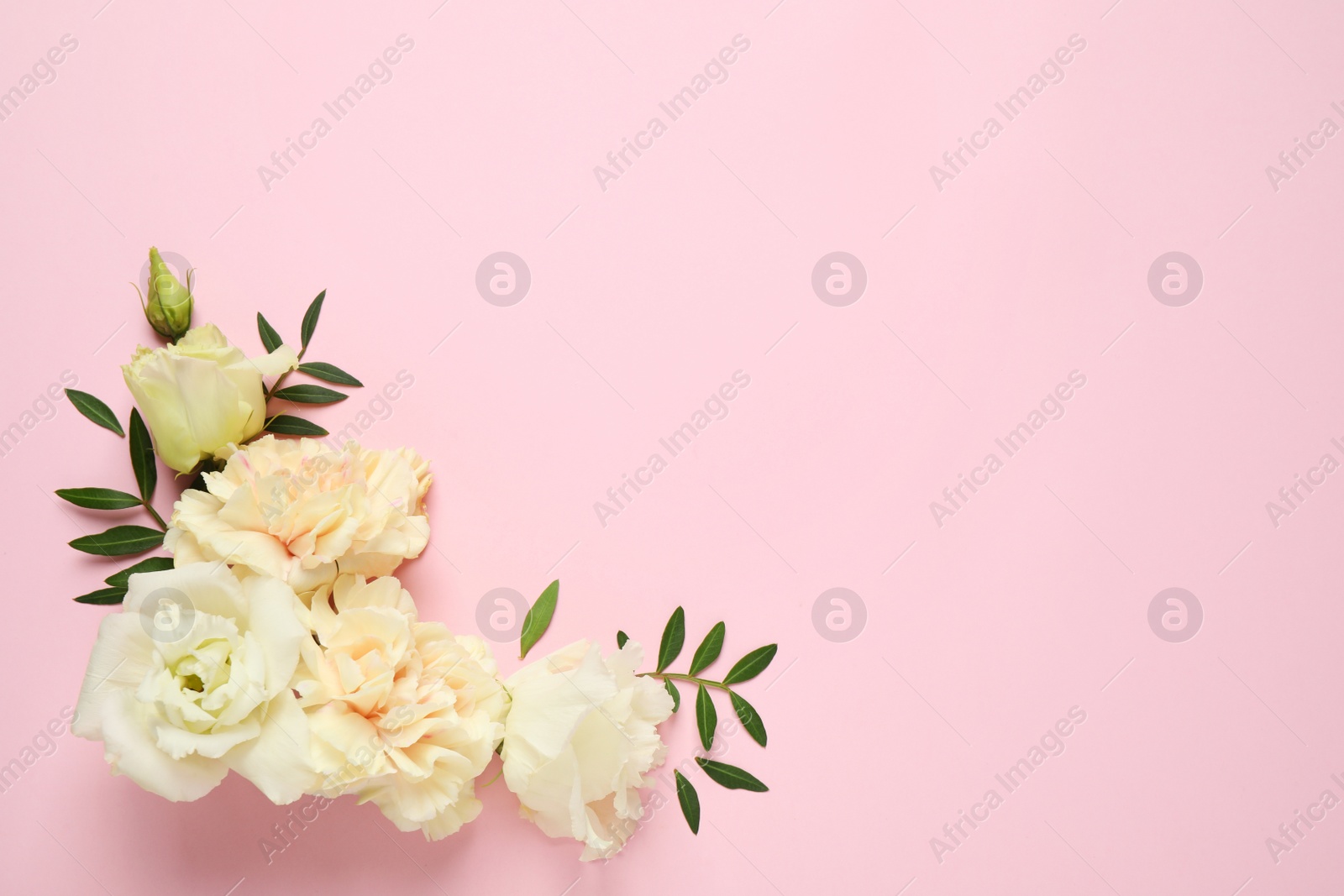 Photo of Flat lay composition with beautiful flowers and space for text on pink background. Floral card design