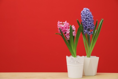 Beautiful hyacinths in pots on table against color background, space for text. Spring flowers