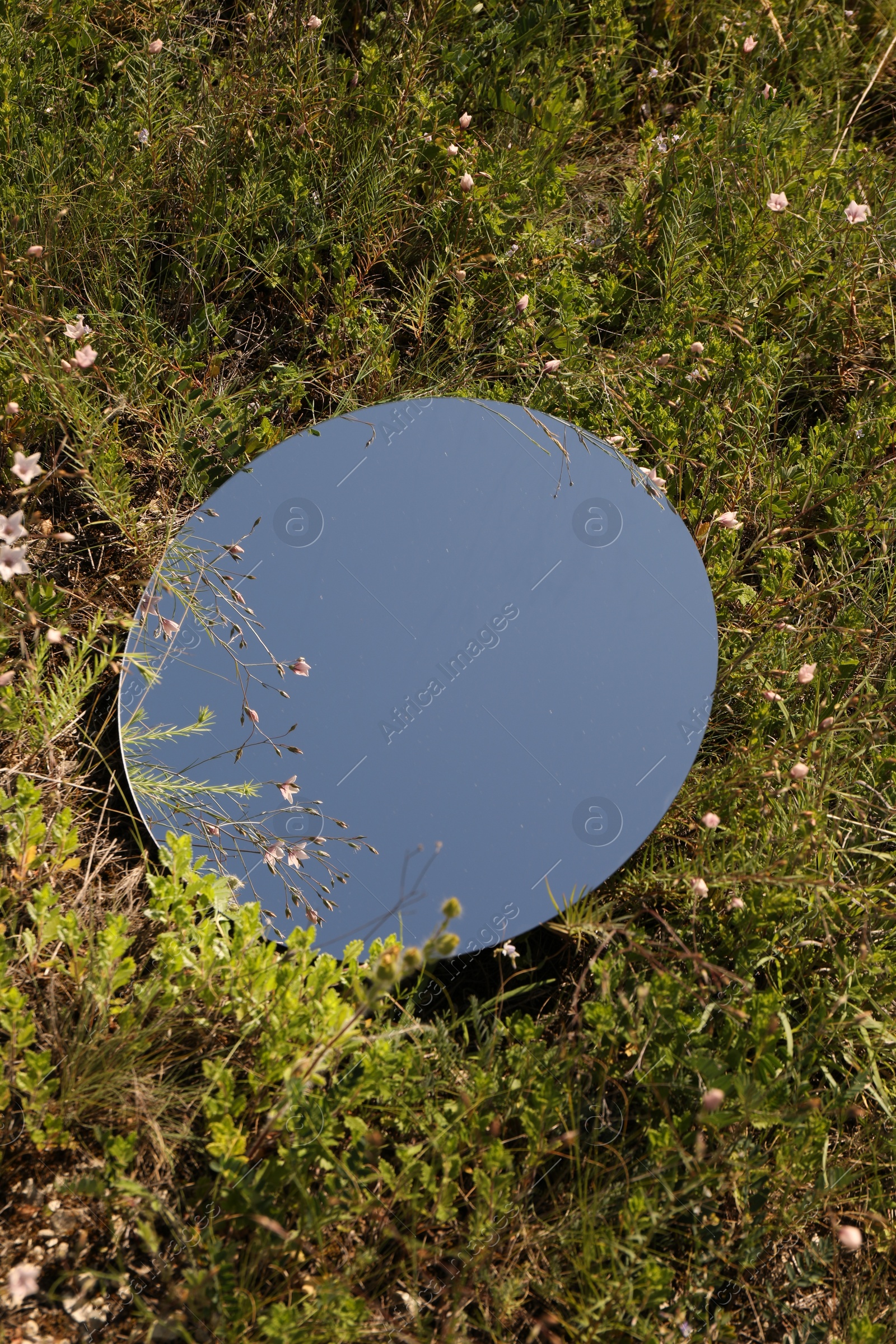 Photo of Spring atmosphere. Round mirror among grass and flowers on sunny day