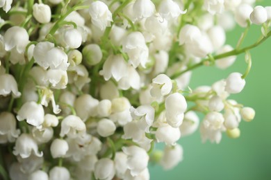 Beautiful lily of the valley flowers on blurred green background, closeup