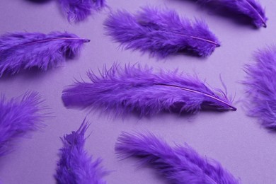 Photo of Bright beautiful feathers on violet background, closeup