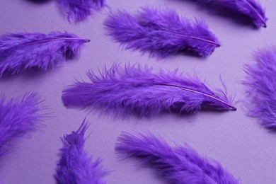 Bright beautiful feathers on violet background, closeup