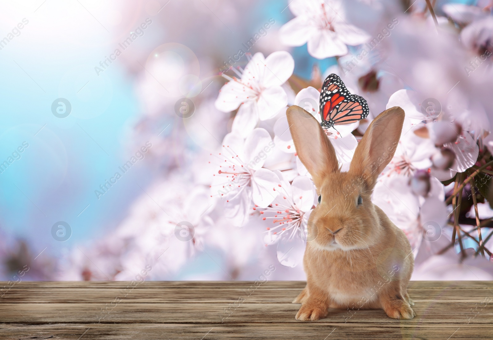 Image of Adorable Easter bunny on wooden surface outdoors, space for text