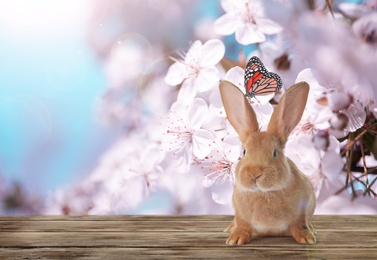 Adorable Easter bunny on wooden surface outdoors, space for text