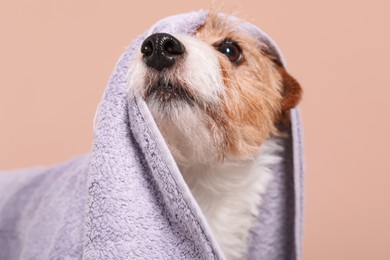 Photo of Cute dog in towel on beige background