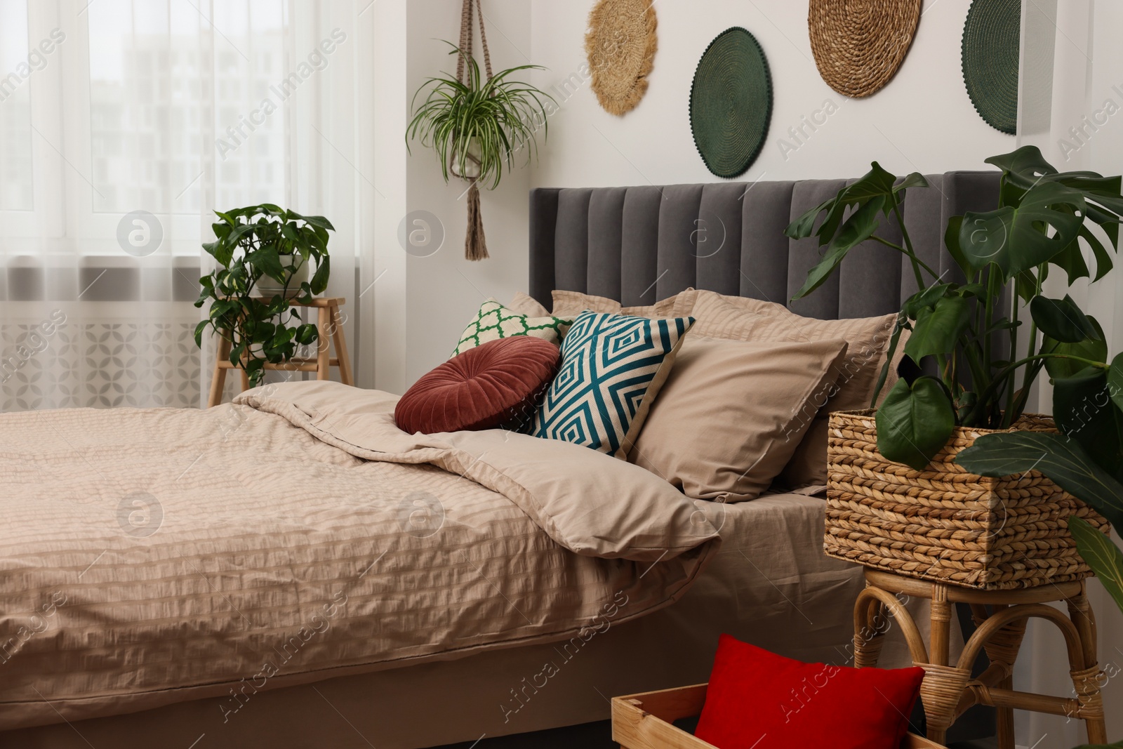 Photo of Large comfortable bed and potted houseplants in stylish bedroom. Interior design