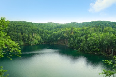 Photo of Picturesque view of beautiful river and forest on sunny day