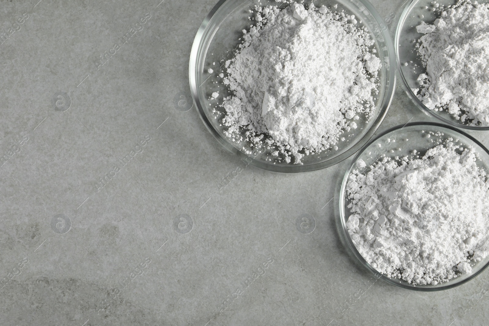 Photo of Petri dishes with calcium carbonate powder on light grey table, flat lay. Space for text