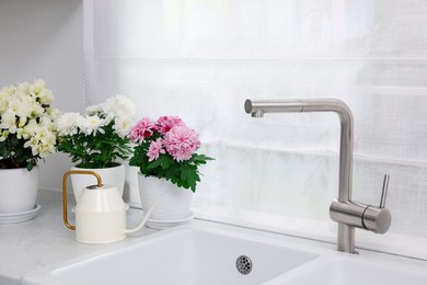 Photo of Pots with beautiful chrysanthemum, azalea flowers and watering can on white countertop in kitchen