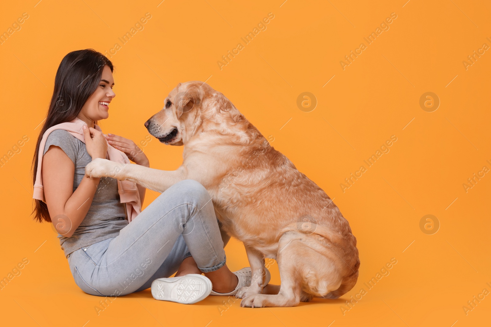 Photo of Happy woman playing with cute Labrador Retriever on orange background. Space for text