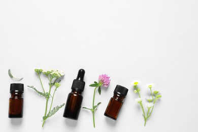 Photo of Bottles of essential oils, different herbs and flowers on white background, flat lay. Space for text