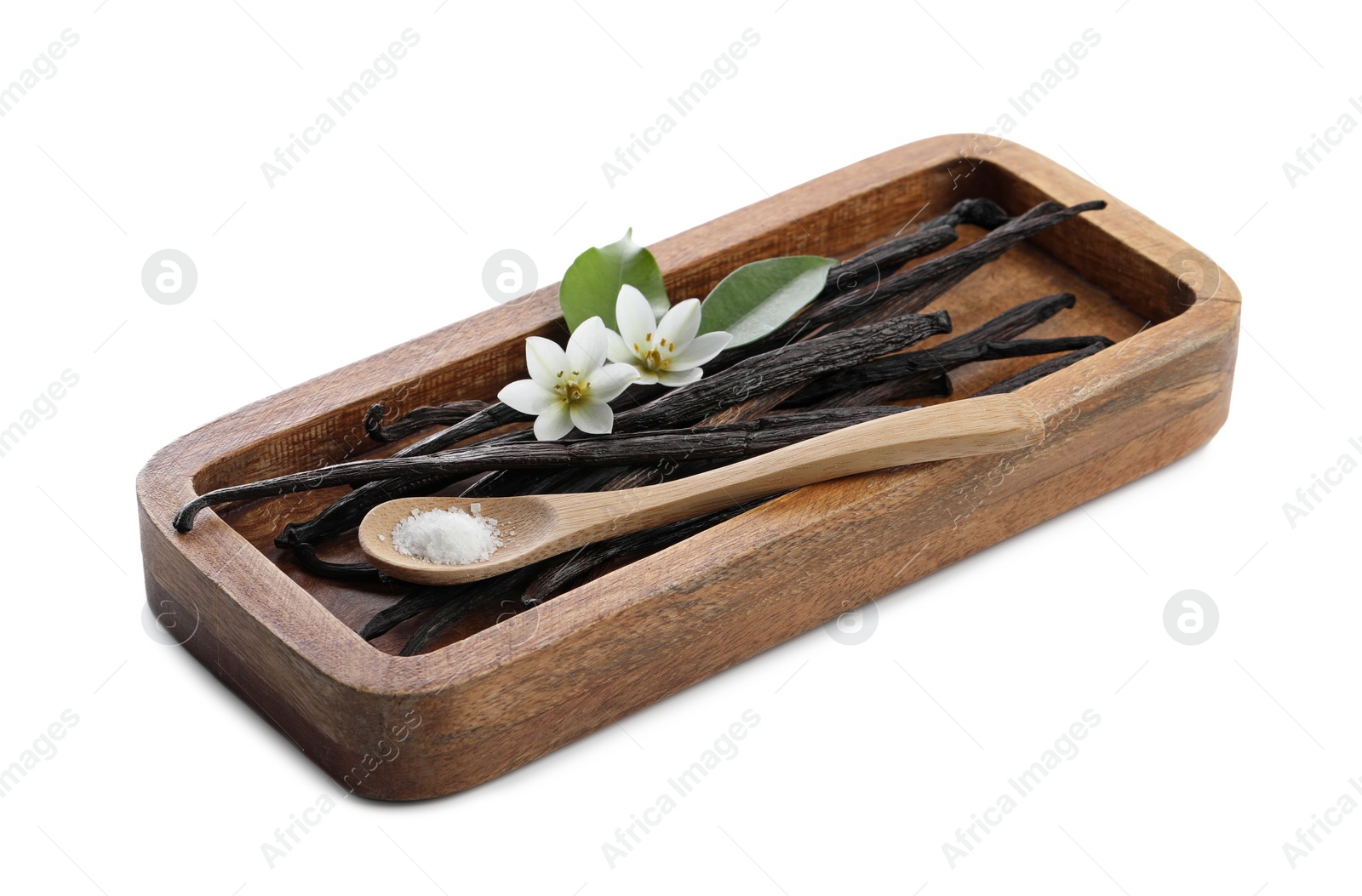 Photo of Vanilla pods, green leaves, spoon with sugar and flowers isolated on white