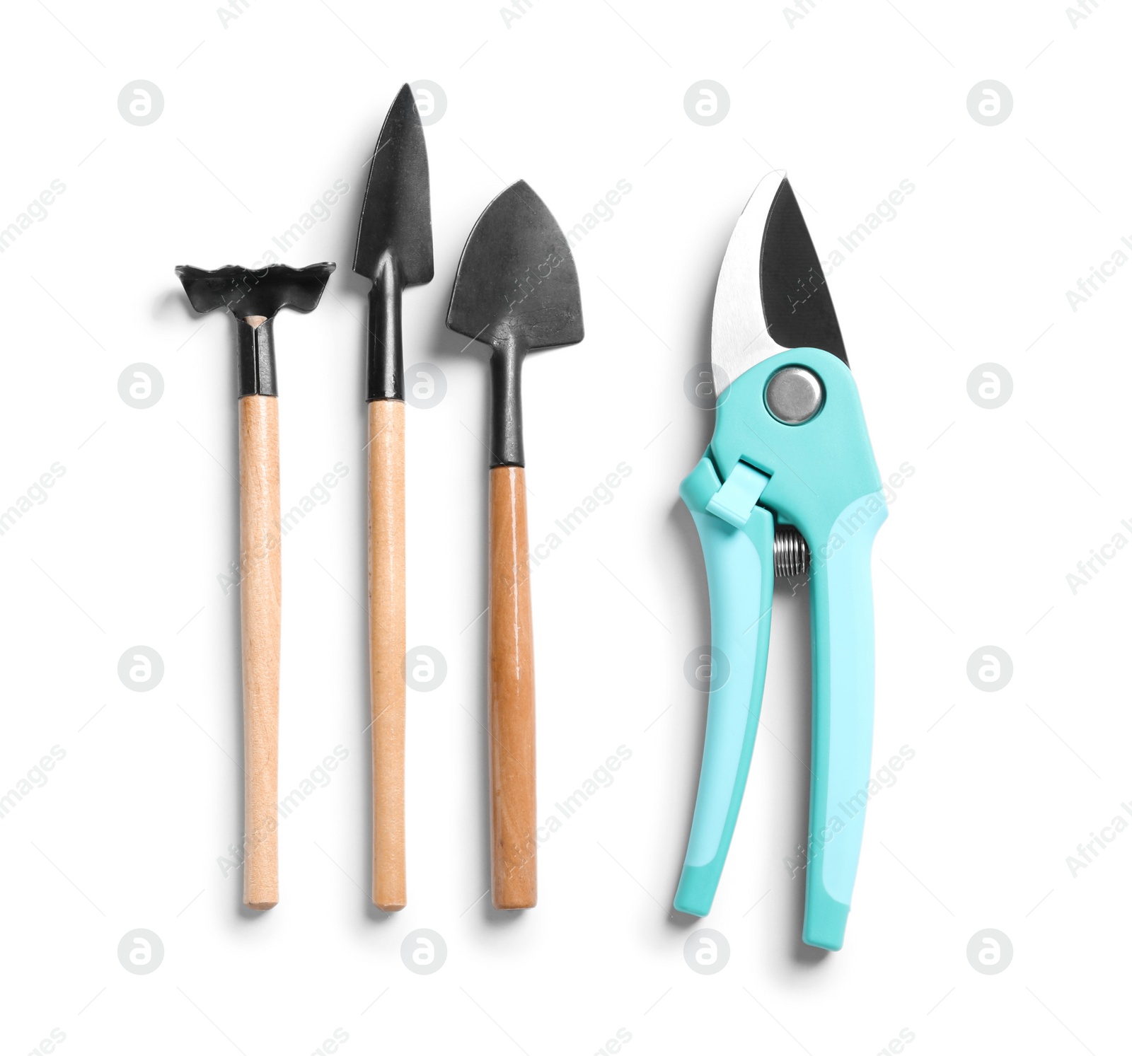 Photo of Set of professional gardening tools on white background