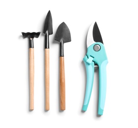 Set of professional gardening tools on white background