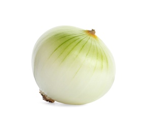 Fresh peeled onion bulb on white background