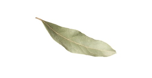 Photo of One aromatic bay leaf isolated on white