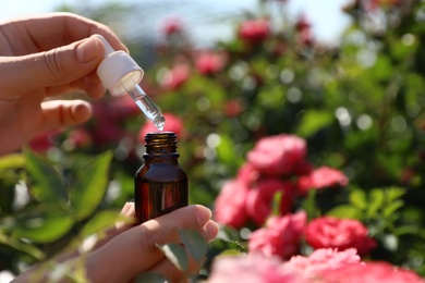 Photo of Woman holding dropper and bottle of essential oil near rose bush in garden, closeup. Space for text