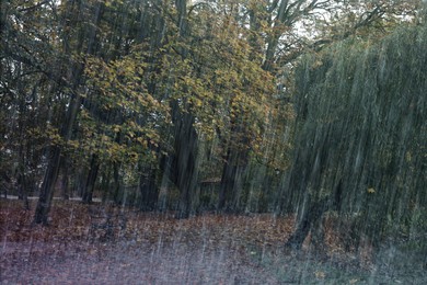 Beautiful park with trees and wooden bench on rainy day