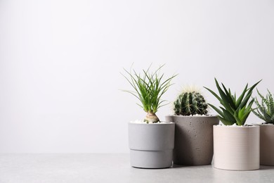 Photo of Different house plants in pots on grey table against white background, space for text