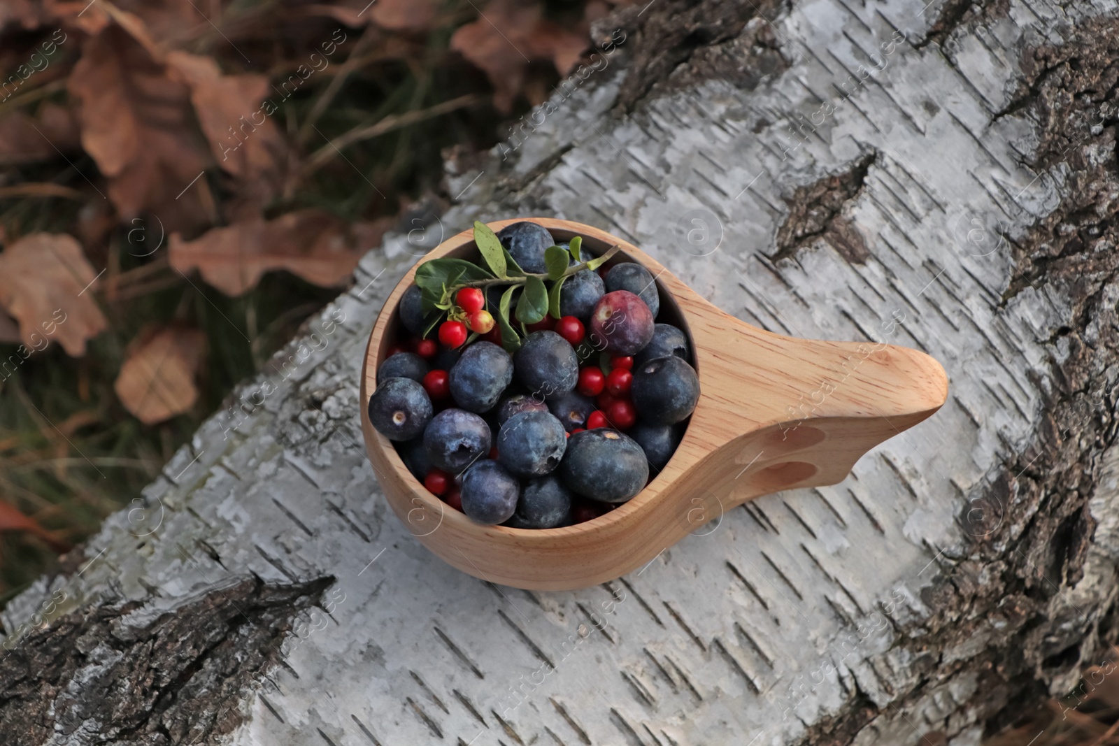 Photo of Wooden mug full of fresh ripe blueberries and lingonberries on log in forest, above view