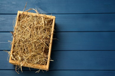 Photo of Dried hay in crate on blue wooden background, top view. Space for text