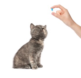 Deworming. Owner with anthelmintic drug and cute fluffy kitten on white background, closeup