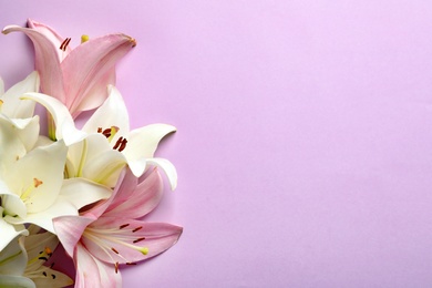 Photo of Flat lay composition with lily flowers on color background