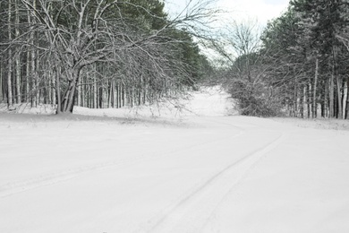 Photo of Snowy road with car trail near forest on winter day