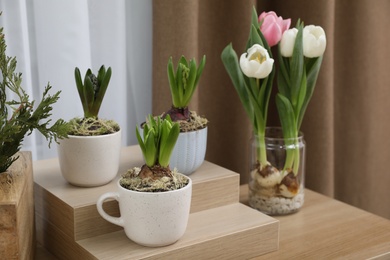 Photo of Potted hyacinth plants and tulips with bulbs on wooden table