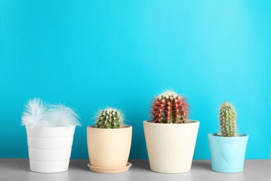 Pots with cacti and one with feathers on table against color background