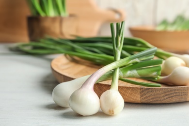 Photo of Fresh green onion on wooden table, closeup