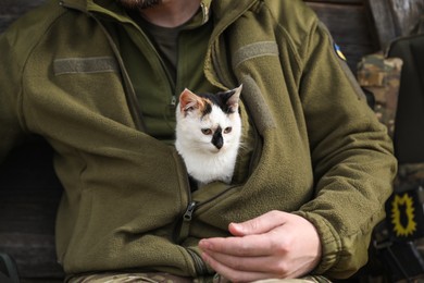 Photo of Soldier in uniform warming little stray cat, closeup