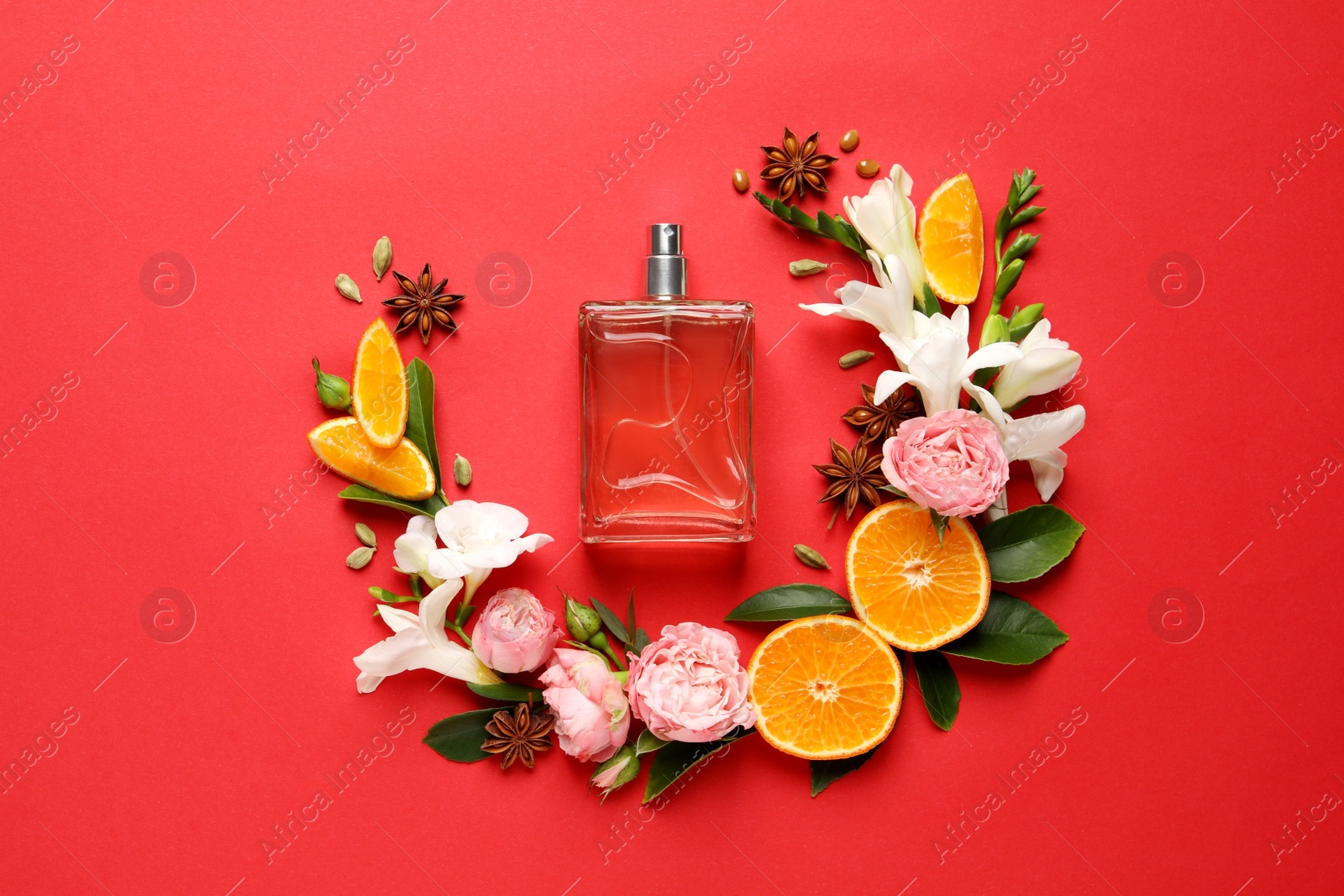 Photo of Flat lay composition with bottle of perfume and fresh citrus fruits on red background