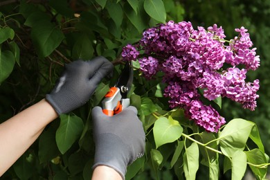 Photo of Gardener pruning lilac branch with secateurs outdoors, closeup