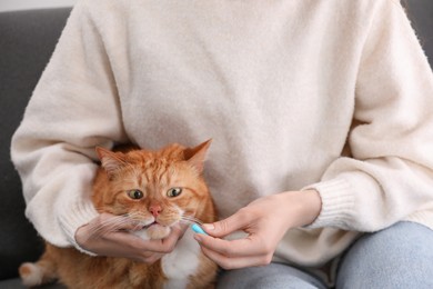 Woman giving vitamin pill to cute cat indoors, closeup