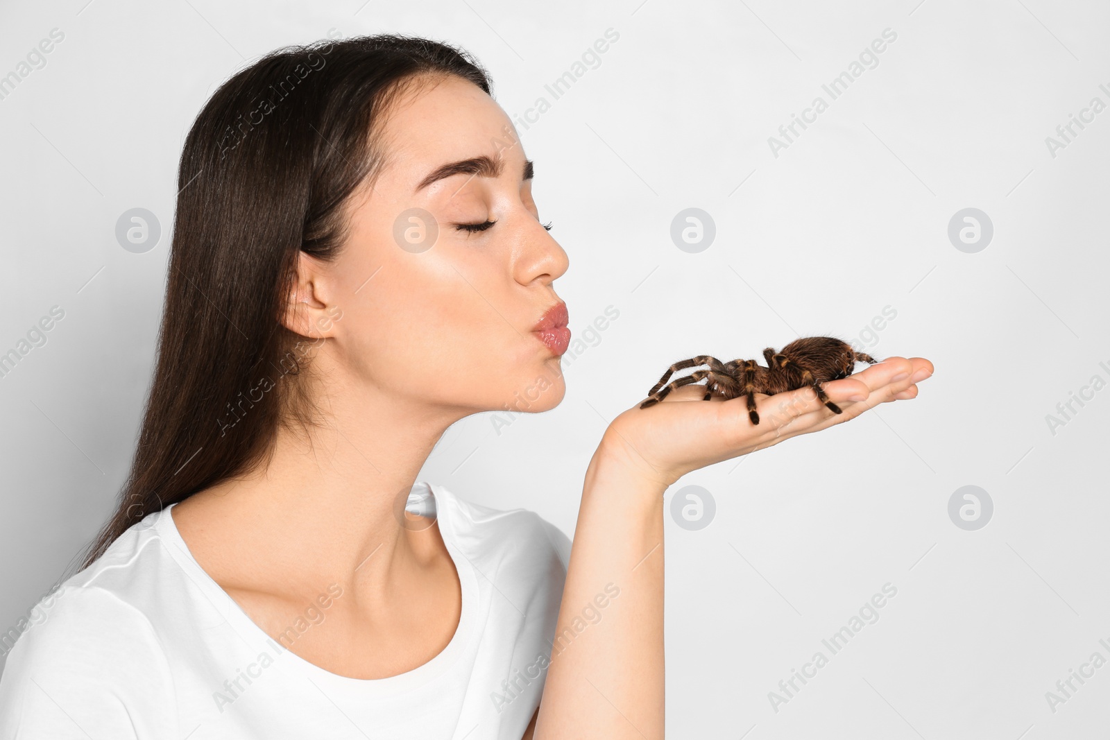 Photo of Woman holding striped knee tarantula on light background. Exotic pet