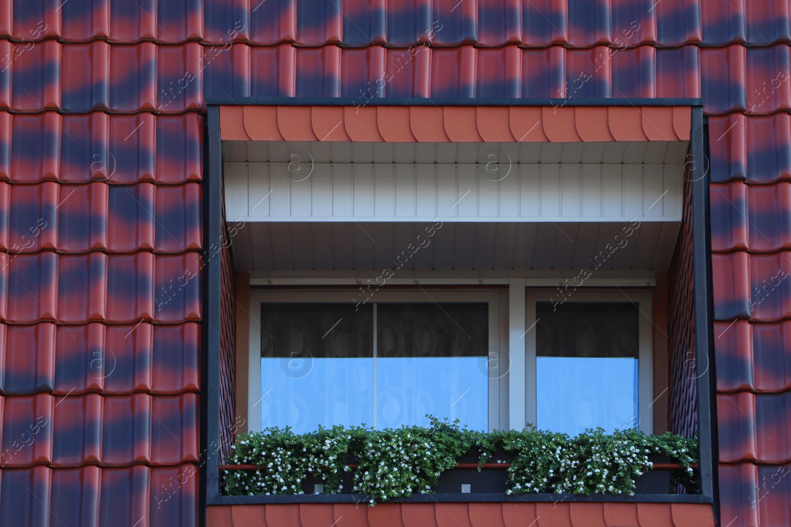 Photo of Roof window decorated with beautiful blooming potted plants