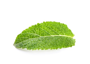 Fresh green mint leaf on white background