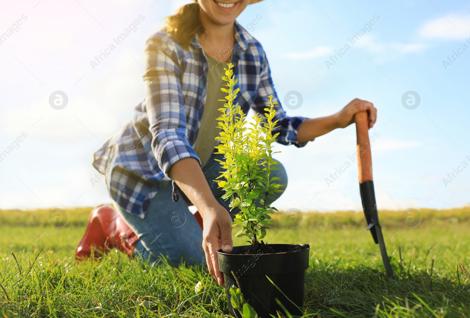 Photo of Woman planting tree in countryside on sunny day, closeup