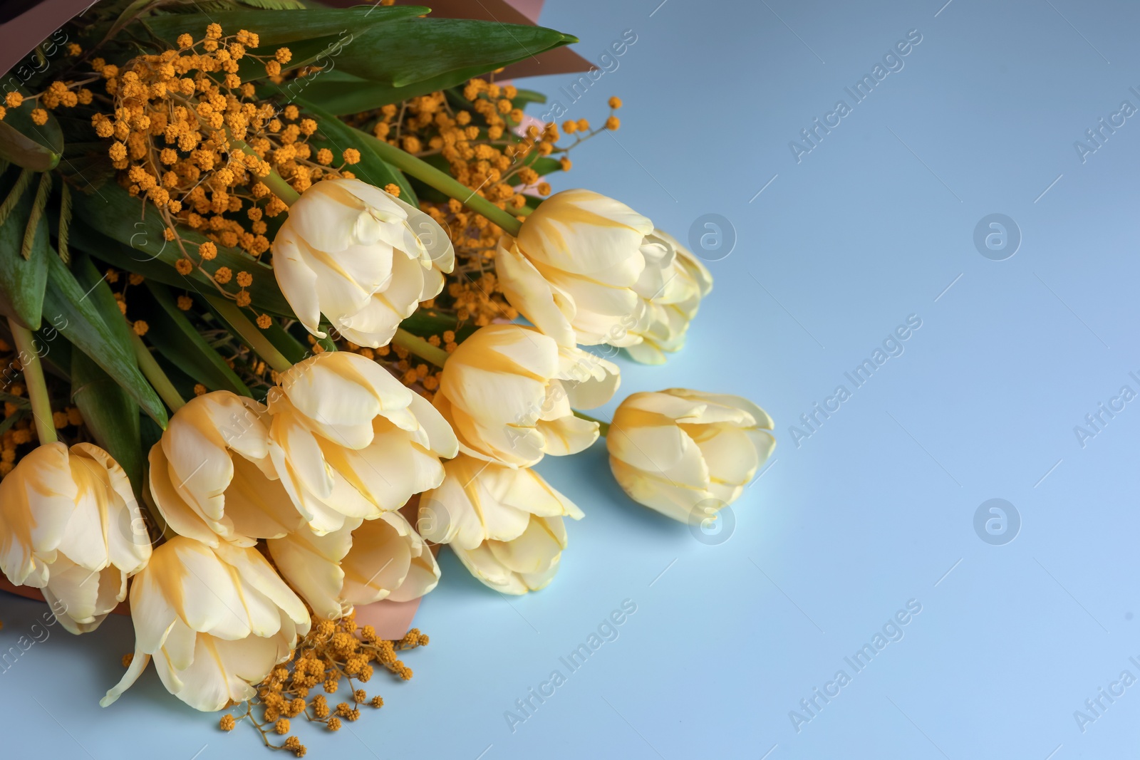 Photo of Bouquet with beautiful tulips and mimosa flowers on light grey background. Space for text