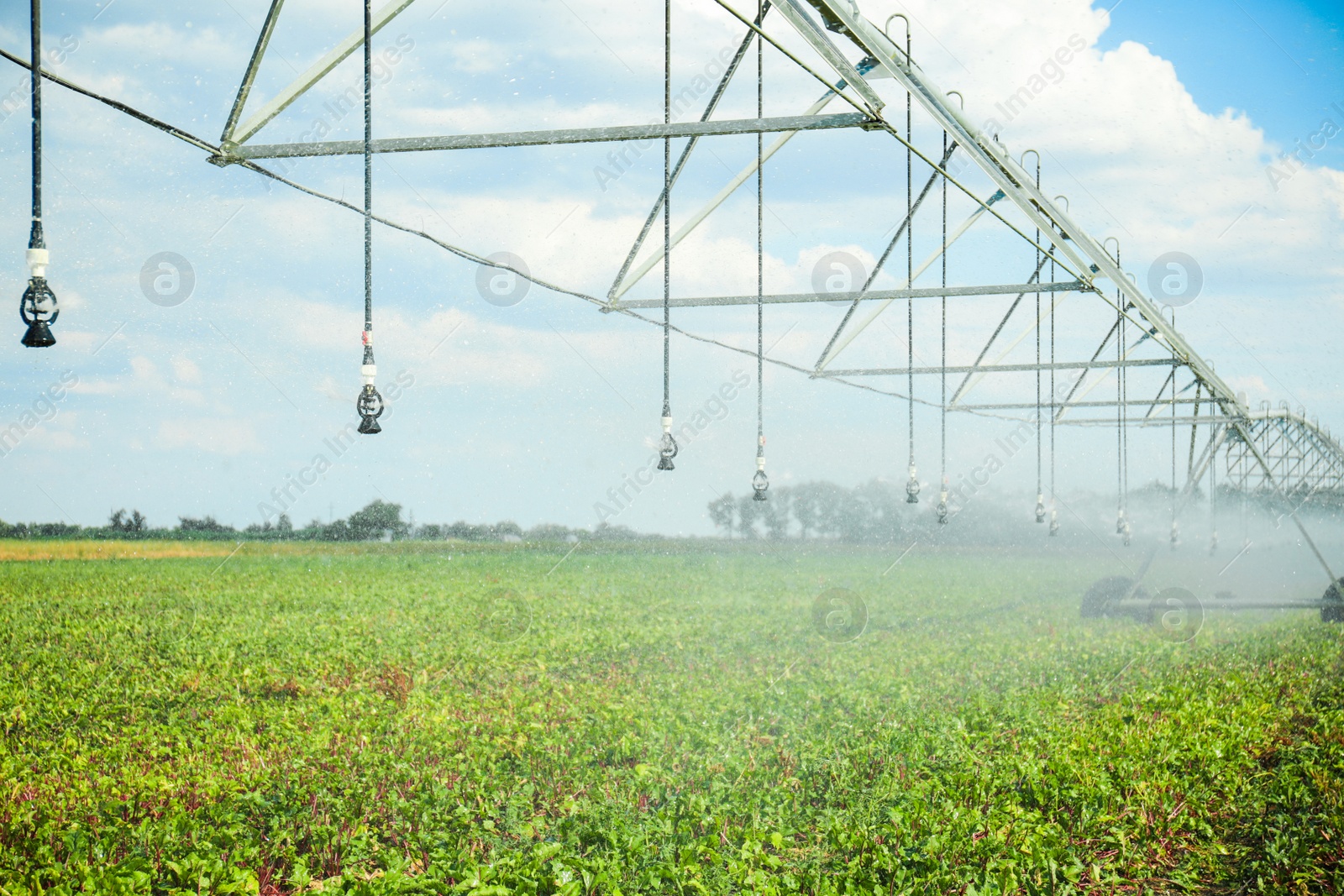 Photo of Center pivot irrigation system watering agricultural field 