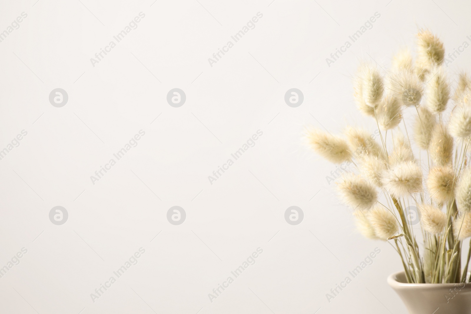 Photo of Dried flowers in vase against light background. Space for text