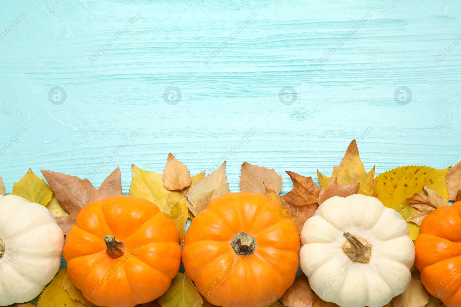 Photo of Flat lay composition with pumpkins and autumn leaves on light blue wooden table. Space for text
