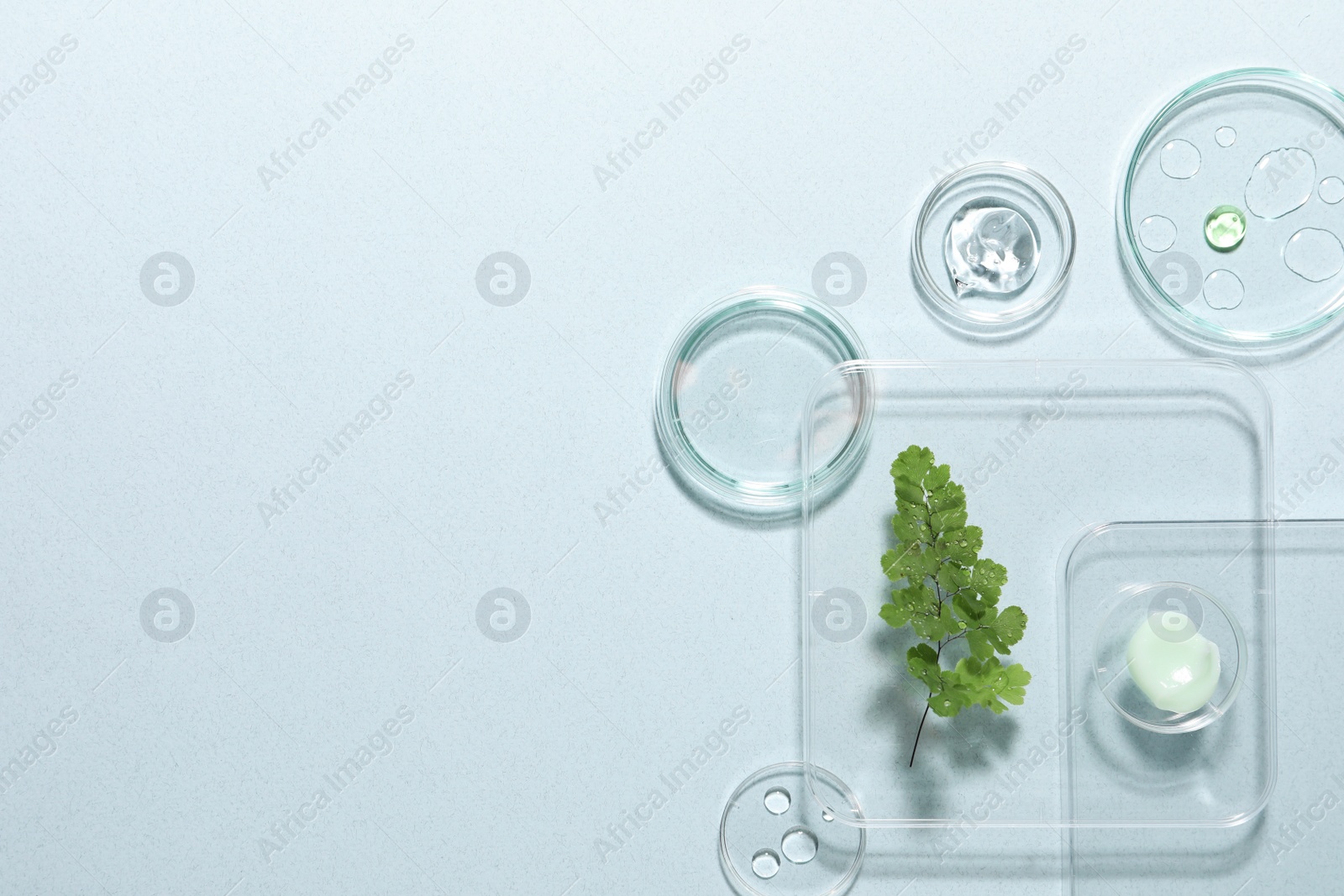 Photo of Organic cosmetic product, natural ingredients and laboratory glassware on light background, flat lay. Space for text