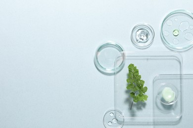 Organic cosmetic product, natural ingredients and laboratory glassware on light background, flat lay. Space for text