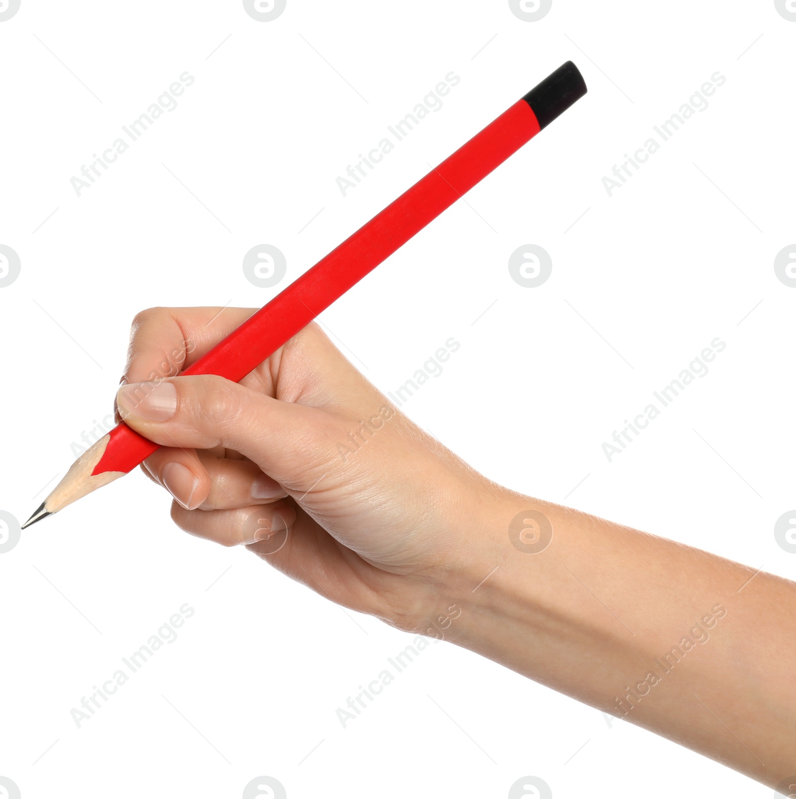 Photo of Woman holding ordinary pencil on white background, closeup