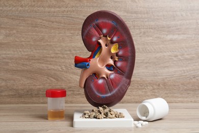 Photo of Kidney model with stones, urine sample and pills on wooden table