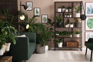 Photo of Stylish living room interior with many beautiful houseplants