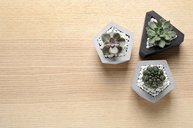 Photo of Beautiful succulent plants in stylish flowerpots on wooden background, flat lay with space for text. Home decor